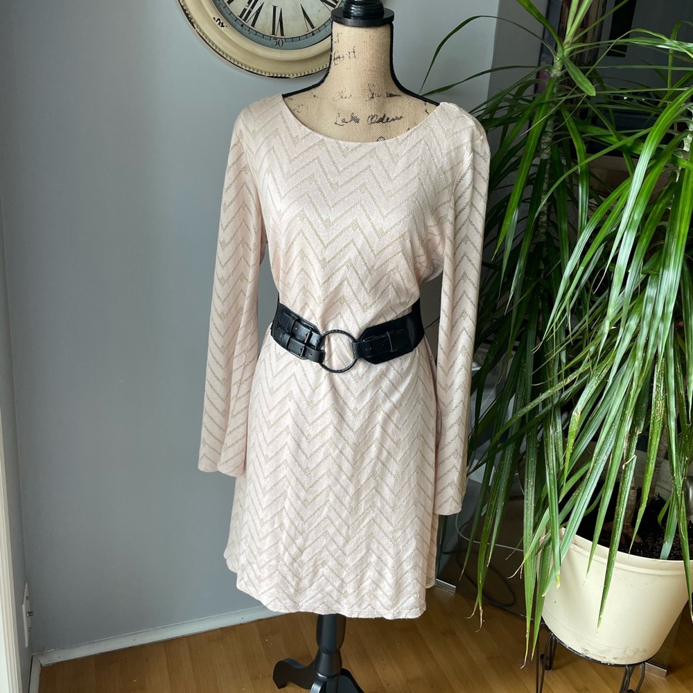 NWOT Silver and Beige Long Sleeve Dress
Size XL
Brand, AUW